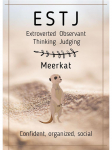 16 isiksust ISFP ENTP ESFJ plakatid L&otilde;uendimaal Loom Panda Karu Rebane Surikaat P&otilde;hjamaade seinakunst Kaasaegne lastetoa kodukaunistus 21x30cm No Frame