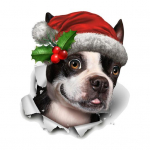 WC-poti kaane kleebis, eemaldatav j&otilde;ulukindel PVC veekindel naljakas koerakleebis peokaunistus Christmas