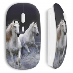 Juhtmeta hiir Hobuste hobuste veesprint