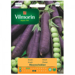 Blauwschokker herned purpursete kaunadega, seemned 20g - VILMORIN