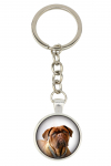 Dogue de Bordeaux, French Mastiff, Bordeauxdog - keychain with your photo, key decoration, bag pendant from Art-Dog brand