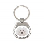 Bichon Bolognese, Bolo, Botoli, Bottolo - geometric keychain with a photo and the inscription Art-Dog