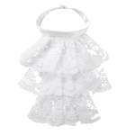 Naiste meeste eemaldatav volangidega pits Jabot Vintage viktoriaanlik v&otilde;ltskrae Exotic Cosplay kunstkaelus Choker Clubwear Steampunk krae valge