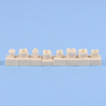 8 tk/komplekt hambaravi tagumise &uuml;li&otilde;pilase koolituskatse mudel, praktika komposiitvaiguga hammaste t&auml;itmiseks, l&otilde;ualuu hambaravi seadmed