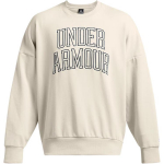 Under Armour &uuml;mmarguse kaelusega Ameerika vabaaja lihtne v&auml;lisspordi dressipluus meestele dressipluus Beež 1386548-110 XL