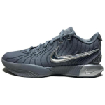 Nike LeBron 21 EP Resilience - HF5352-001 EU 40