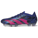adidas Paul Pogba X Predator Accuracy.1 Low FG 'High-Energy Style' H03772 46