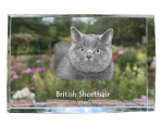 British Shorthair - crystal with a picture of a cat, photo in glass, modern exhibition of Art-Dog brand photo