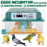 36/16/12 Munainkubaator lindude vuttide tibude haudejaama inkubaator linnuhaudeja Turner digitaalne automaatne talu inkubatsioonit&ouml;&ouml;riist 12 Eggs