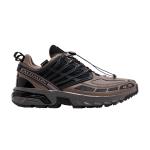 Salomon ACS Pro GORE-TEX 'Raudne ploomikass' 38
