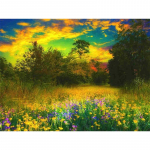 5D teemantmaal S&uuml;gismaastik Lillede teemanttikandid 20X30CM