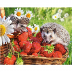 5D DIY Teemantmaaling Puuviljad ja veinid Teemantmosaiik Teemanttikandid T&auml;ielik ristpistekomplektid Kodukaunistuse kingitused Round 40x50cm