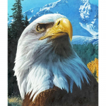 Eagle DIY 5D Teemantmaali Loomad &Ouml;&ouml;kull T&auml;isringi puur Rhinestone ristpistes Teemanttikandid Mosaiik Seinakunst Kingitus Full Round 20x30CM