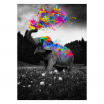 Graffiti elevant pihustades vikerkaare l&otilde;uendit maalides loomade plakatid ja tr&uuml;kised Moodne seinakunst elutoa kodu kaunistamiseks 20x30cm