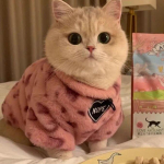 Leopardprint Talvine Paks Plush Pet Plus samet sooja hoidmiseks Prantsuse frotee &uuml;htlane kass sinine kass Inglise l&uuml;hike kass Puuvillase polsterdatud riided S