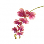 1 tk kunstlik orhidee majapidamistaim Looduslikud realistlikud orhideetooted Kunsttaimed Dekoratsioon tumeroosa v&auml;rv