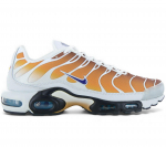 Nike Air Max Plus TN SP - One Block Down - Herren Sneakers Schuhe Chutney FZ3308-700 ORIGINAL EU 42 US 8.5 mitmev&auml;rviline