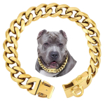 Kuum - 19 mm titaanterasest koerarihm kindla pandlaga koerakett koerak&auml;ru r&otilde;ngas roostevabast terasest lemmiklooma kett kuldne kett (Gold,8inch-20cm) kuld