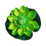 Vesiroos Ujuv lill Lotus Home Yard Pond Fish Tank punane