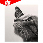 Loomad Kassiliblikas Teemanttikandid 5D DIY Ristpistes Pilt T&auml;is&uuml;mar teemant 20X30