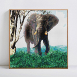 Teemantmaaling Elevant Teemanttikandid Loodusloomad pildid kividega 30x30