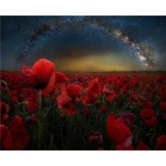 K&ouml;&ouml;gikaunistus Teemanttikandid Puuviljad Punane Vein Kodukink DIY Decoratif K&auml;sit&ouml;&ouml; 20X30CM