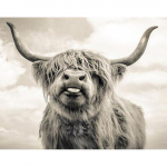 5D DIY Teemantmaal T&auml;isringi puur Loomad Teemanttikandid Lehm Ristpistes Mosaiik Rhinestone K&auml;sit&ouml;&ouml; Kingitus 20X30CM punane