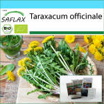 SAFLAX &ndash; kinkekomplekt &ndash; Orgaaniline &ndash; V&otilde;ilill &ndash; 400 seemet &ndash; Koos kinkekarbi, kaardi, etiketi ja potisubstraadiga &ndash; Taraxacum officinale