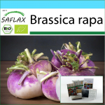 SAFLAX &ndash; kinkekomplekt &ndash; Orgaaniline &ndash; Naeris &ndash; Milano lilla &ndash; 600 seemet &ndash; Koos kinkekarbi, kaardi, etiketi ja potisubstraadiga &ndash; Brassica rapa