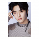 DICON Dfesta TRAY KIDS I.N
