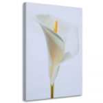 L&otilde;uenditr&uuml;kk Calla Flowers Nature 40x60 beež