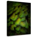 L&otilde;uenditr&uuml;kk Feathers Nature Green 40x60 roheline