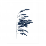 Akvarell Sinine botaaniline lehtplakat Minimalistlik p&otilde;hjamaiste lillede taimel&otilde;uendimaaling Seinakunstipildid elutoa sisekujunduseks 21x30cm No Frame