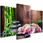 Kolmeosalise pildiga l&otilde;uenditr&uuml;kk Orchid Flowers Spa Nature 60x40 pruun
