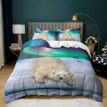 3D Arctic Aurora voodipesukomplekt Ilus maastik tekikate padjap&uuml;&uuml;r 2/3 t&uuml;kki AU180 * 210 t&auml;issuuruses kiiresti kuivav kodusisustus DE 135x200cm