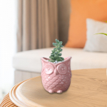 Lillepoti bonsai &ouml;&ouml;kulli kujuga maja taimekonteiner riiulile aiakontori jaoks