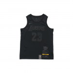 Nike Connected S&auml;rk NBA Los Angeles Lakers LeBron James MVP M&auml;lestusv&auml;ljaanne Meeste S&auml;rk Must CI2030-010 S