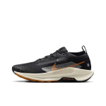 Nike Pegasus Trail 5 GORE-TEX Must Monarh Meeste Tossud Off-Noir Kahvatu-Kreemjas FQ0908-007 42 beige