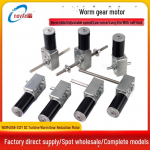 12V/24V DC ussmotoor iselukustuse ja reguleeritava kiirusega elektrilisele riidekuivatusrestile Single output shaft-24v21