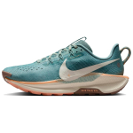 Nike Pegasus Trail 5 Cannon Naiste Tossud Sinakas-roheline-Mink-pruun-Oranž-Kriit DV3865-010 35.5 gray