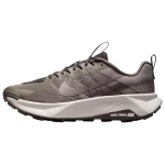 Nike Wildhorse 10 Raudkivi Sametpruun Meeste Tennised Kolledžihall Koobashalli FV2338-007 44.5 gray