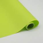 Korduvkasutatavad Sahtlialused Pestavad Tolmukindlad ja Libisemiskindlad Lauaalused K&ouml;&ouml;gikapi Matid K&uuml;lmkapi Libisemiskindlad Alused Riiulipaber (Light green,30x150cm) heleroheline v&auml;rv