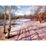 5D isetehtud teemantmaaling talvine mets &uuml;mmargune puur t&auml;isteemanttikandid n&auml;put&ouml;&ouml; kodukaunistus 20X30CM