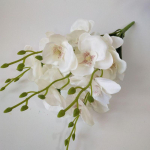 Kunstlillede kimp Phalaenopsis Tantsiv orhidee Pulm Kodukaunistus Kaunistused Siidlill valge