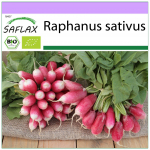 SAFLAX &ndash; Mahe &ndash; Redis &ndash; Prantsuse Hommikus&ouml;&ouml;k &ndash; 150 seemet &ndash; Raphanus sativus