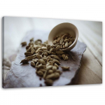 Feeby l&otilde;uenditr&uuml;kk, K&ouml;&ouml;gi v&uuml;rtsid - kardemon 60x40 pruun