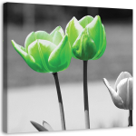 L&otilde;uendiprint Tulips Flowers Green 30x30 roheline