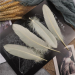 15-20cm K&otilde;va pulgaga hanesuled Looduslikud luik Pluma K&auml;sit&ouml;&ouml;tarvikud V&auml;rvilised unen&auml;op&uuml;&uuml;dja ​​sulgede kaunistused 20Pcs kreemikas