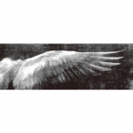 Angel Wings Abstraktsed l&otilde;uendiplakatid ja -tr&uuml;kised Must-valge Moodne seinakunst L&otilde;uendimaalid Elutoa seinapildid 20*40cm