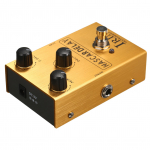 IRIN Viivituse Kitarriefektipedaal segamis-/tagasiside-/viivituse 3 juhtnupuga elektrikitarrile - NASCAR kuld